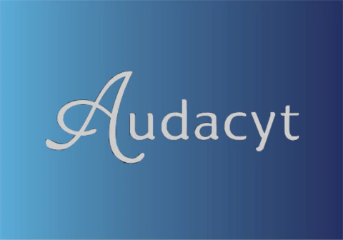 Audacytjeans