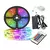 TIRA LED RGB 5050 5M EXTERIOR CON CONTROL REMOTO - comprar online