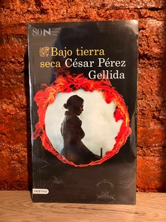 BAJO TIERRA SECA - César Pérez Gellida