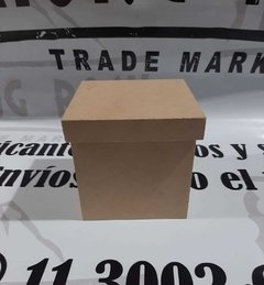 CAJA 10X10X10
