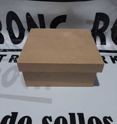 CAJA ZAPATO 16X16X7