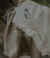 Banner de PRESENCIA NATIVA