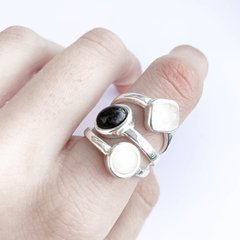 Anillo FRIDA en internet