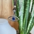 Choker Ojo Protector - comprar online