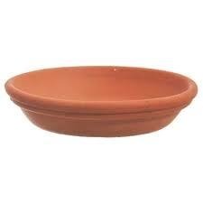 Plato Blum