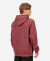 BUZO BILLABONG CORE EMB RANGLAN HOOD en internet