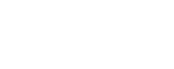 Paladino Multimarcas