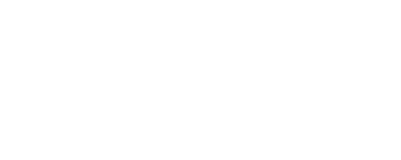Paladino Multimarcas