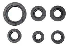 RETEN DE MOTOR ROUSER NS 220/200 - comprar online