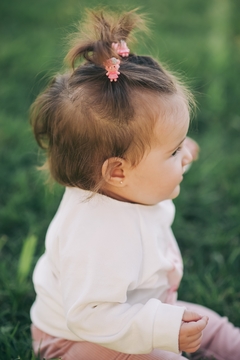 3305 ROSE en internet