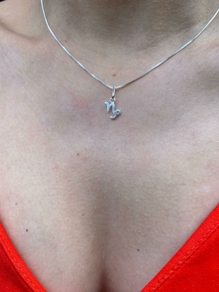PINGENTE DE PRATA SIGNO CAPRICÓRNIO - comprar online