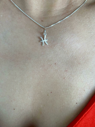 PINGENTE DE PRATA SIGNO PEIXES - comprar online