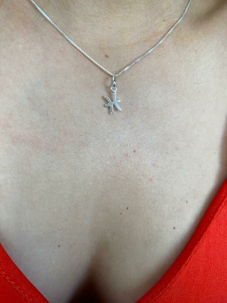 PINGENTE DE PRATA SIGNO PEIXES - comprar online