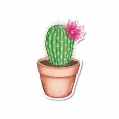 Sticker autoadhesivo Cactus