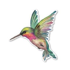 Sticker autoadhesivo COLIBRÍ