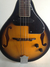 Mandolina electroacustica PARQUER MA011BSEQ - tienda online