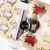GRIZZLY COMPLETE SKATE - OG ICE CREAM BEAR en internet