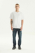 510 SKINNY en internet