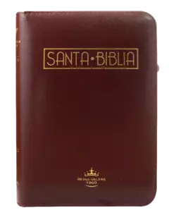 BIBLIA REINA VALERA 1960 055cLGZPJRa L 10p 13x19 CONCORDANCIA CIERRE PJR IMITACION PIEL BORDO QR - tienda online