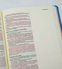 BIBLIA ILUSTRA TU FE NVI – IMITACION PIEL AZUL en internet