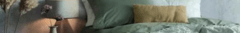 Banner de la categoría CANNON