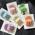 Broche 5145