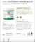 Gel criógeno modelador - comprar online