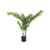 Palmera 1.80 mt FA140/117