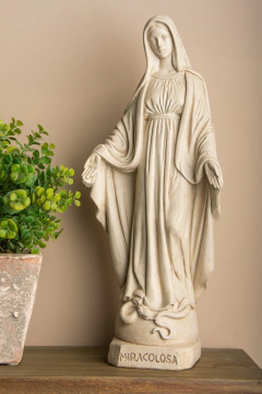 Virgen Milagrosa 30 en internet