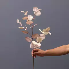 vara de eucalipto violacea en internet