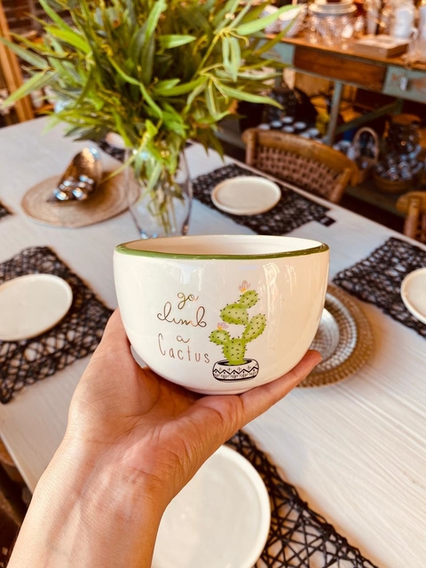 Bowl Cactus x2