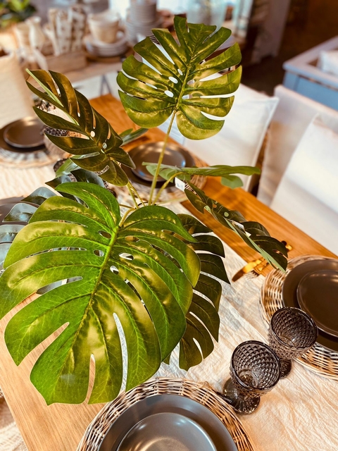 Costilla de Adan (individual)