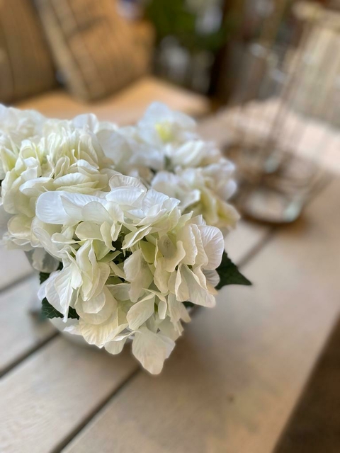 Hortensia Blanca 38 cm
