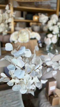 vara de eucalipto blanco - Decogallery