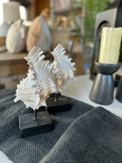 Escultura de mar 15x25cm - comprar online
