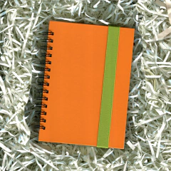 CUADERNO ANILLO - comprar online