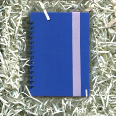 CUADERNO ANILLO - ANAFORICA