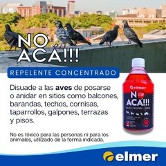 NO ACÁ!!! (1057) - comprar online