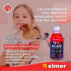 NO ACÁ!!! (1057) en internet