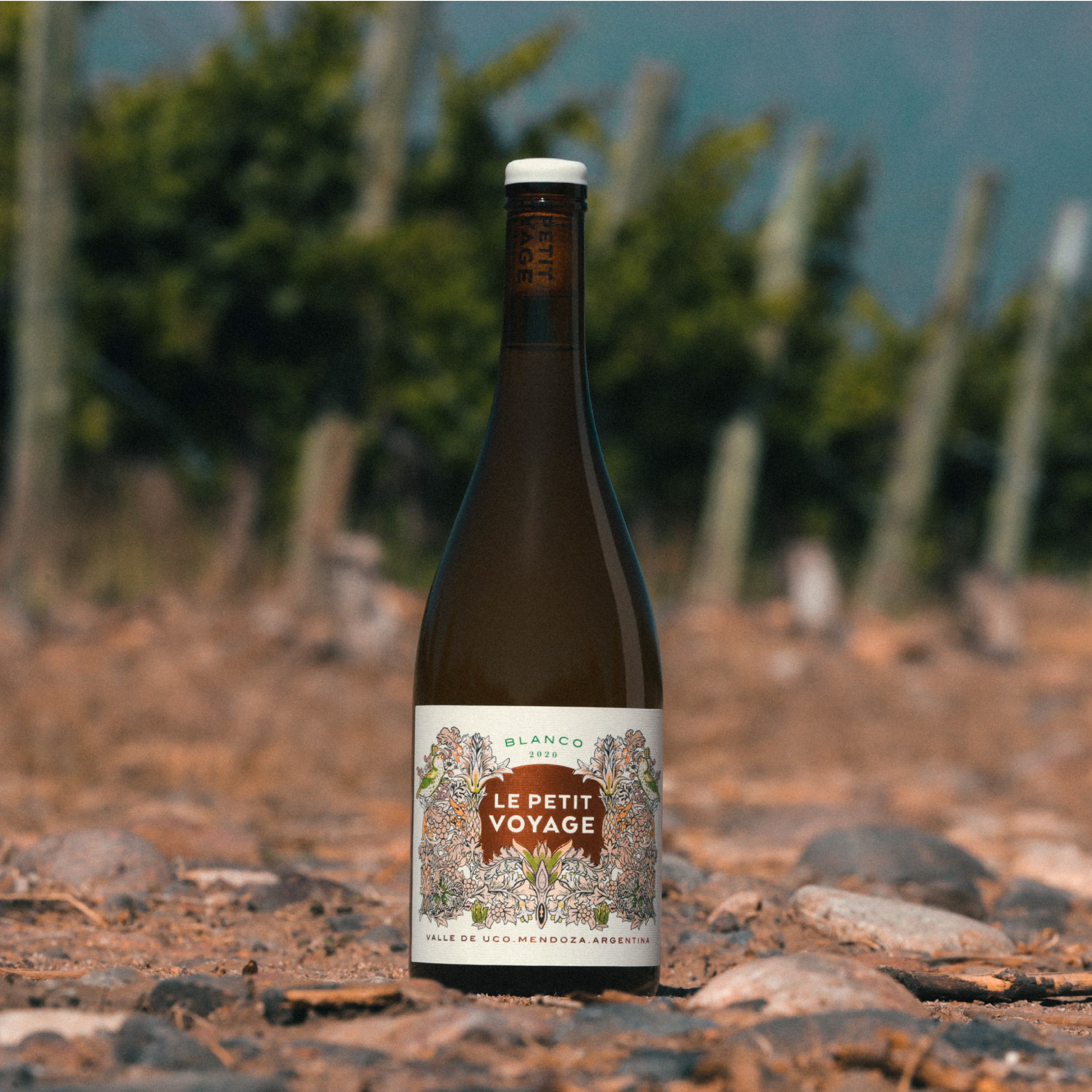 Banner de Mundo Revés Wines