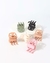 BROCHE CAREY G