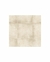 porcelanato San Lorenzo Terraferma Marfil 58x58 1° $15200.90 m2 - comprar online
