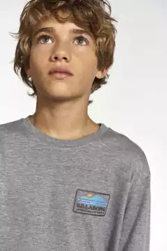 REMERA BILLABONG SEGMENT B0335 (13) en internet