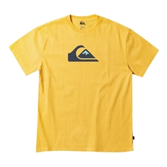 REMERA NIÑO QUIKSILVER MOUNTAIN & WAVE T0448