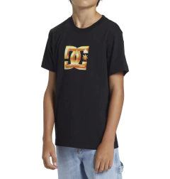 REMERA NIÑO DC CHROME BEVEL T0765 (02) - comprar online