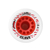 Ruedas Surf Skate/Longboard LAB – CHILI 70mm 78A - comprar online