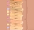 BASE SOFT MATTE - Make Up Salta
