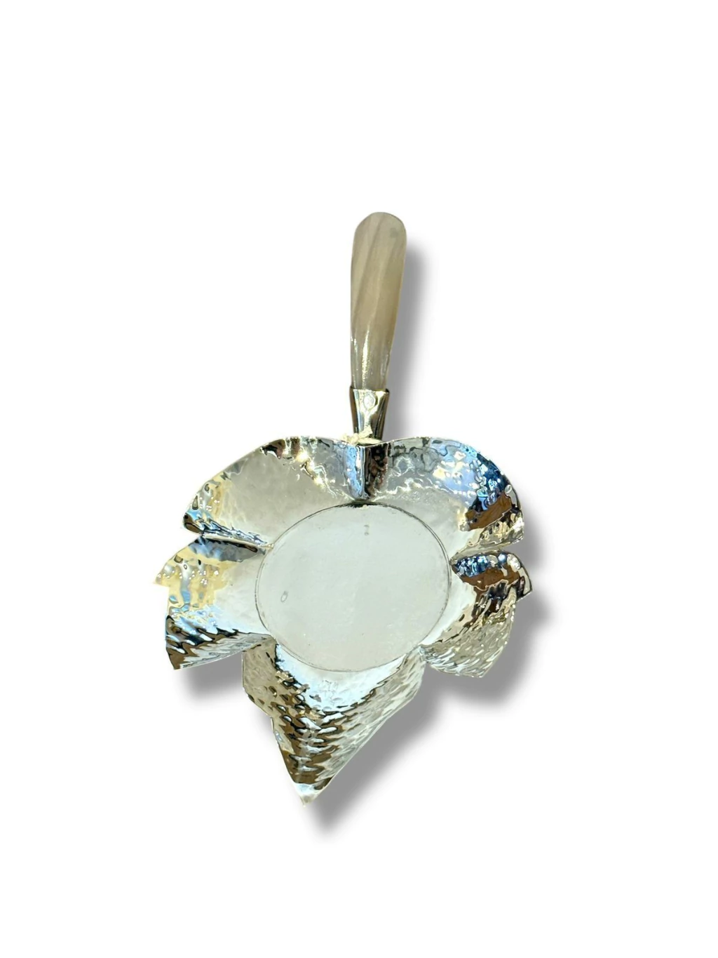 HOJA DE PARRA MINI