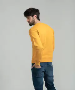 BUZO WRANGLER EMBROIDERY AMAR en internet