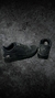 Zapatilla PARIS en internet